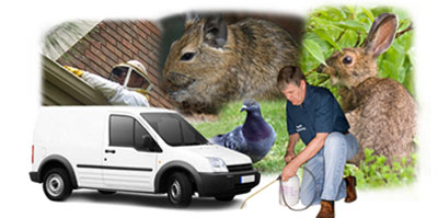 Dewsbury local van